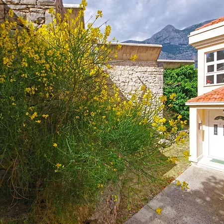 Vesna * マカルスカ